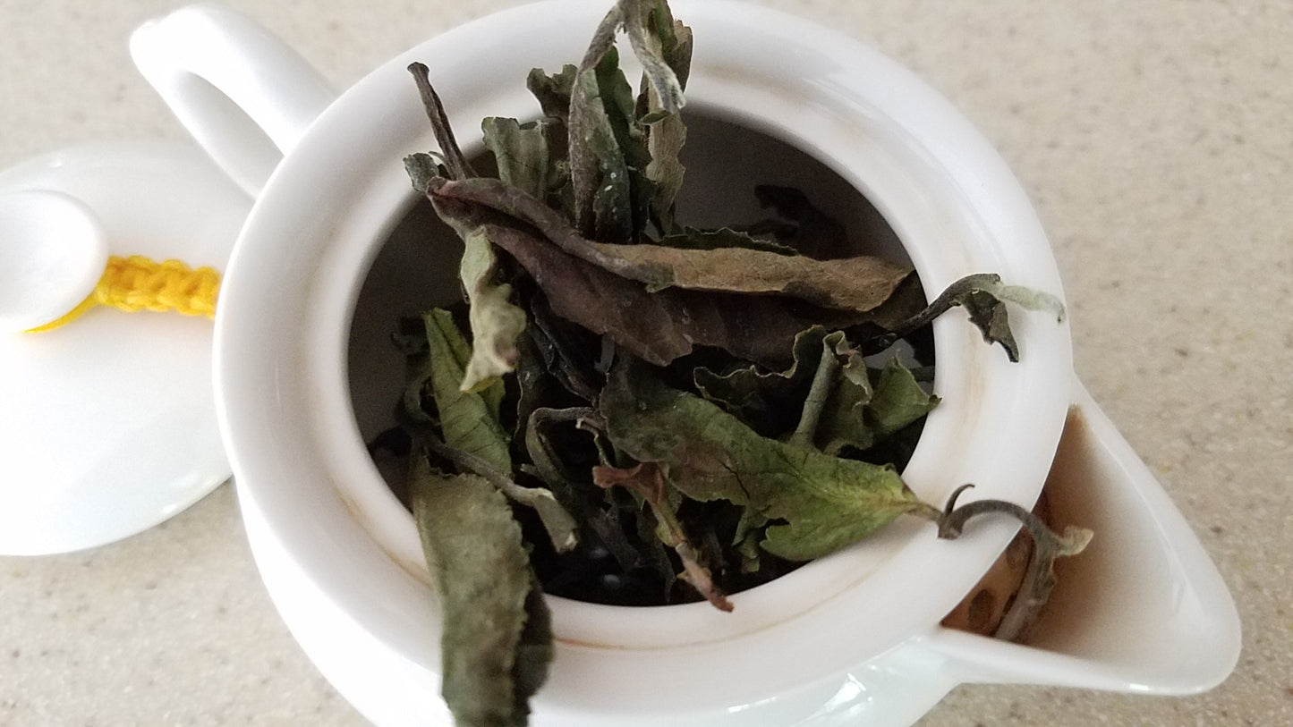 Three Treasures White Tea: Sun-Dried (big leaf) - Aged 7 Years!