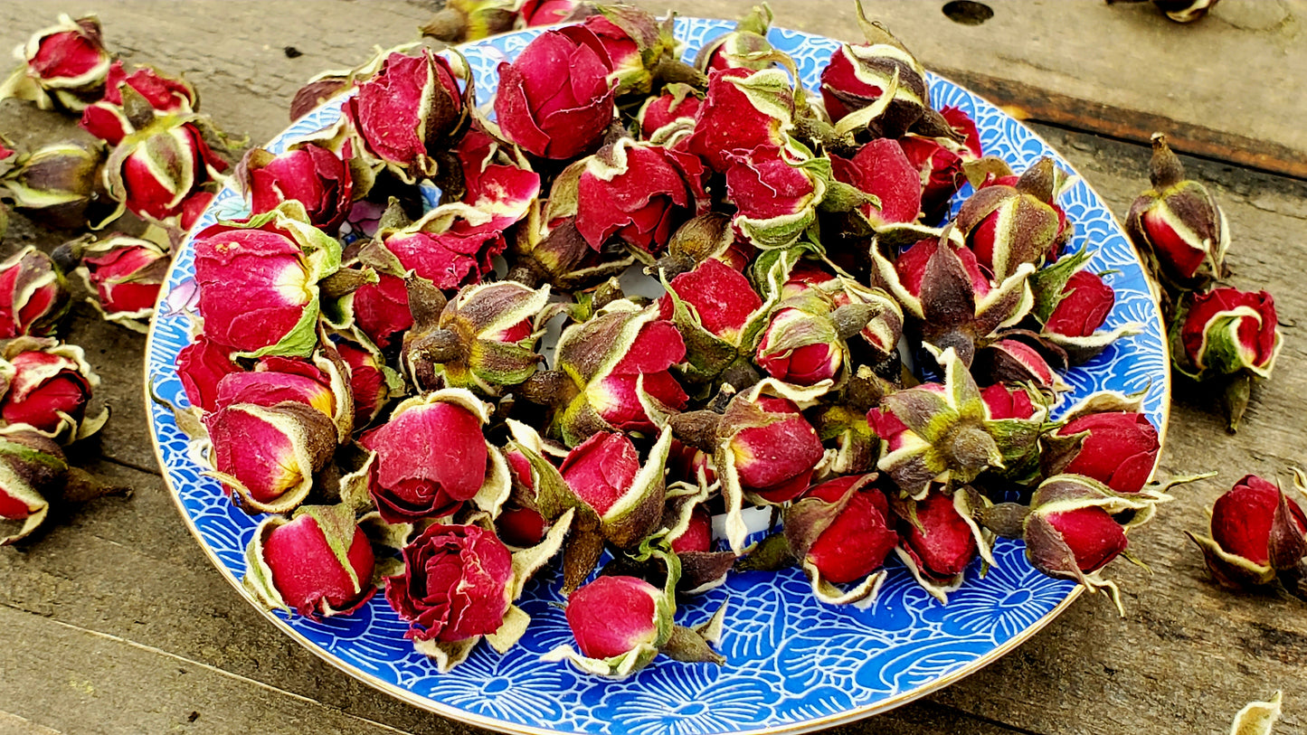 Wild Harvested Rose Buds - Red