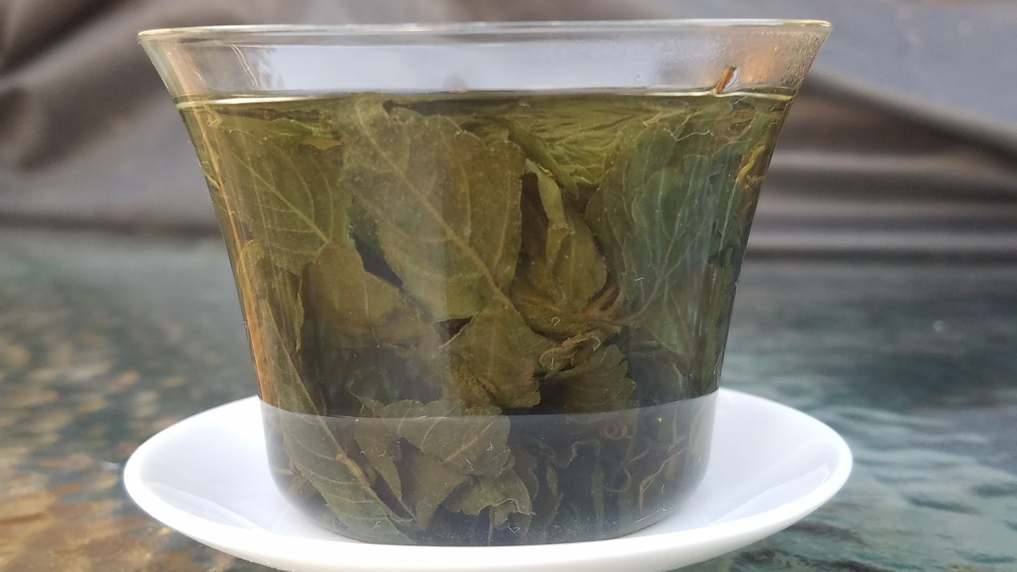 Jiaogulan AKA Herb of Immortality - Gynostemma