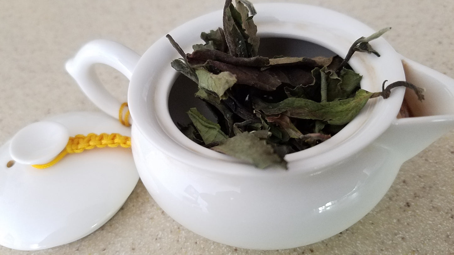 Three Treasures White Tea: Sun-Dried (big leaf) - Aged 7 Years!