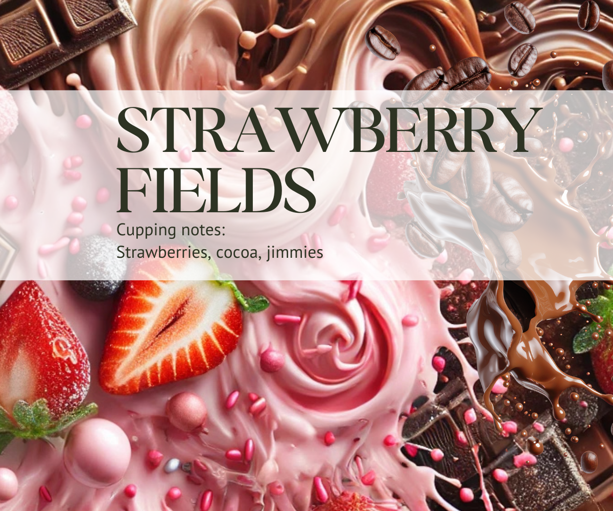 STRAWBERRY FIELDS (Strawberry Co-Fermented) – Ever After - Coffee