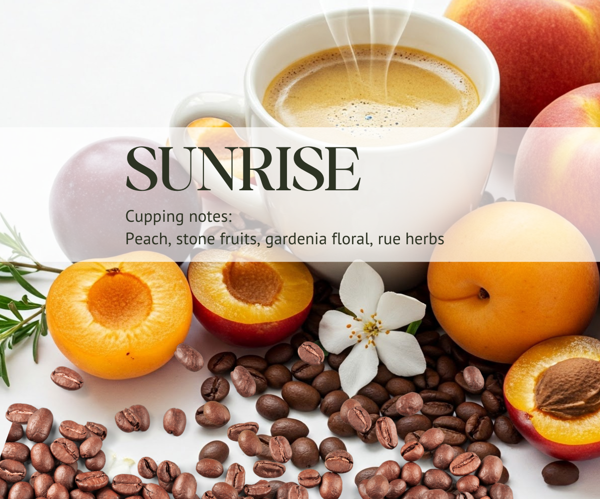 SUNRISE