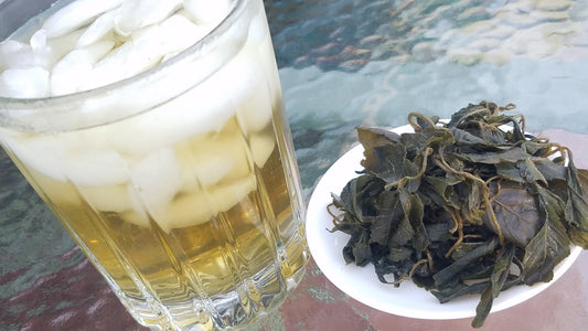 Jiaogulan AKA Herb of Immortality - Gynostemma