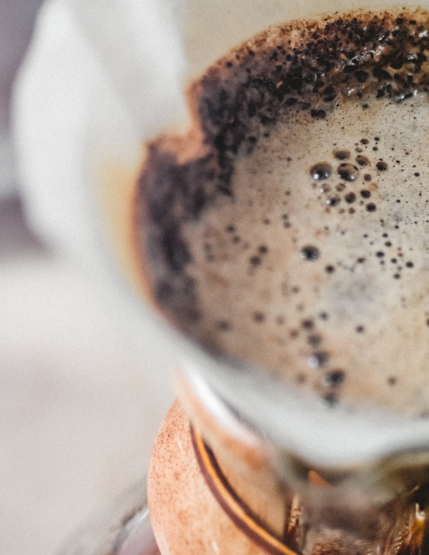 ROASTERS' CHOICE SUBSCRIPTION