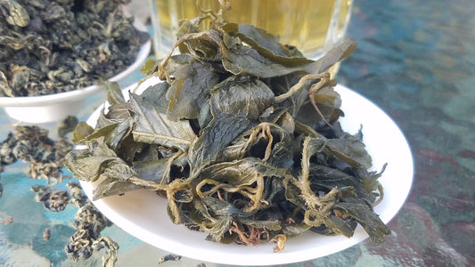 Jiaogulan AKA Herb of Immortality - Gynostemma