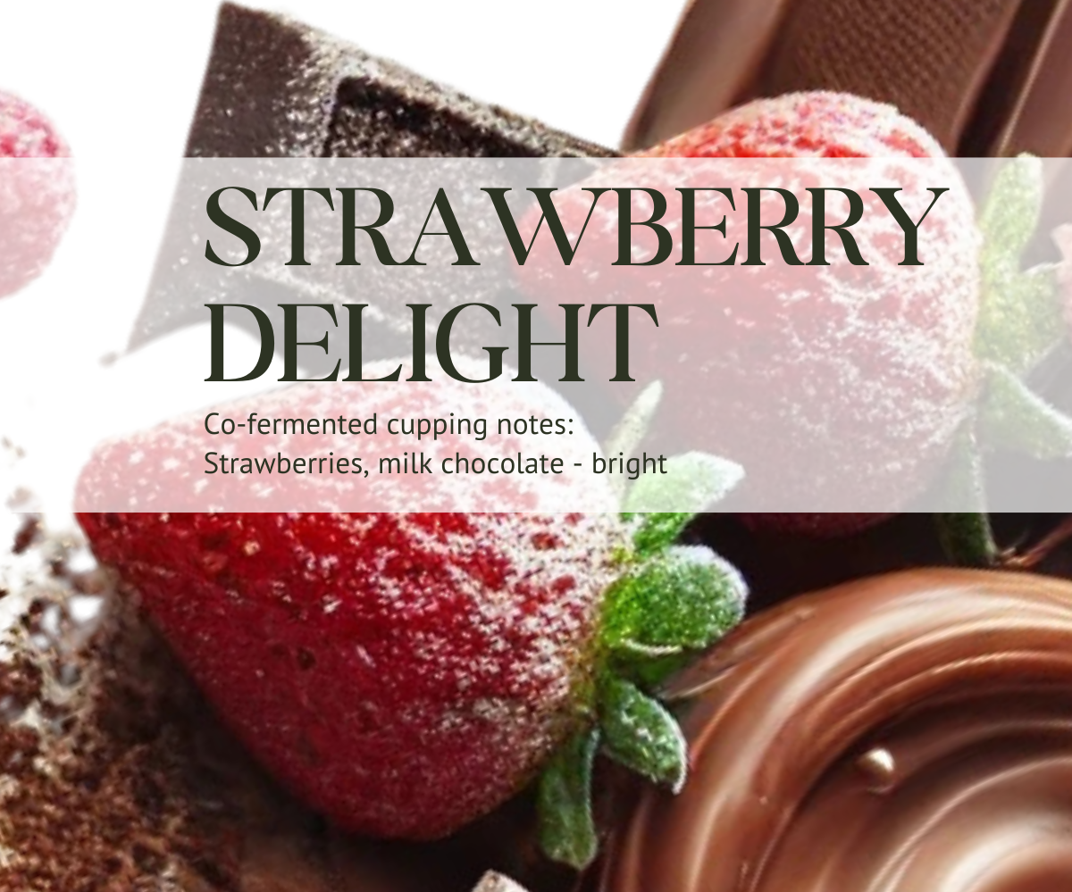 STRAWBERRY DELIGHT (Strawberry Co-Fermented)