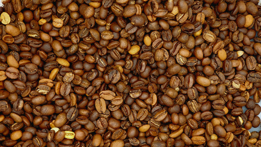 TREASURE - Exceptional Value Organic Coffee